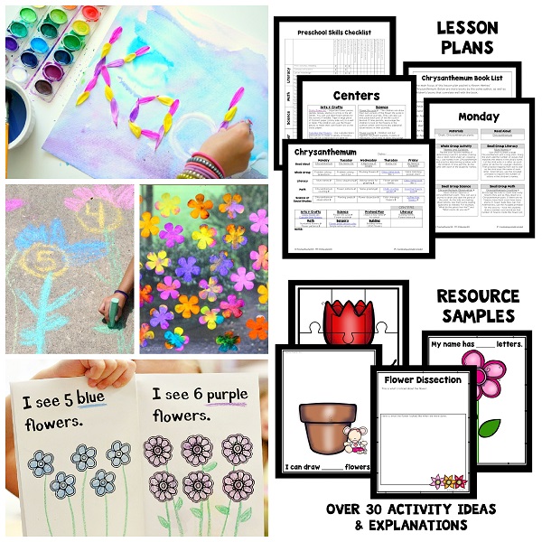 Chrysanthemum Preschool Classroom Lesson Plans
