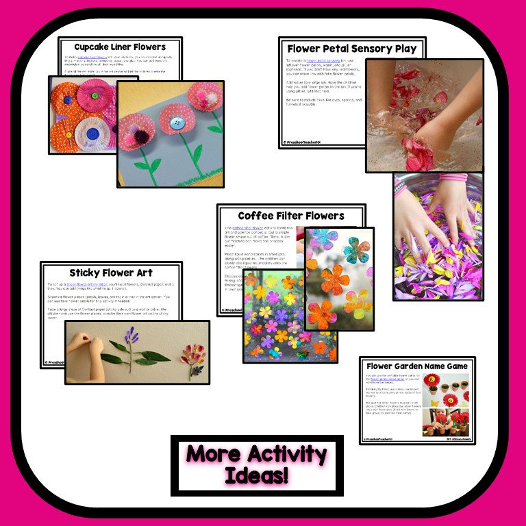 Chrysanthemum Lesson Plan Activities For Preschool St vrogue.co