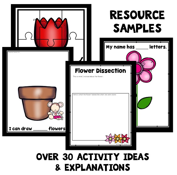 Resource Samples-Chrysanthemum Theme - 600 Resource Samples-Chrysanthemum Theme - 600