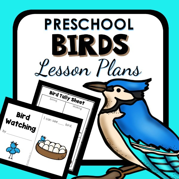 Preschool Birds Lesson Plans_cover