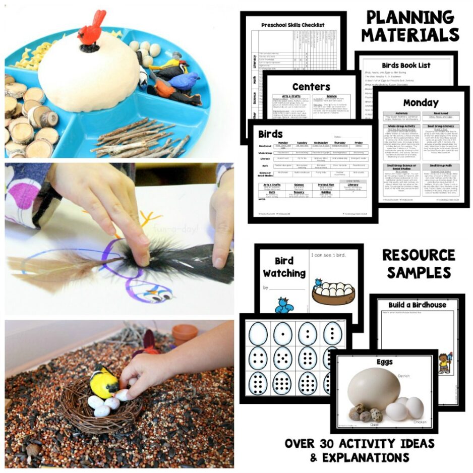 bird square collage bird square collage