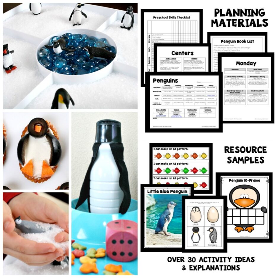 LP Image Square Collage-Penguins LP Image Square Collage-Penguins