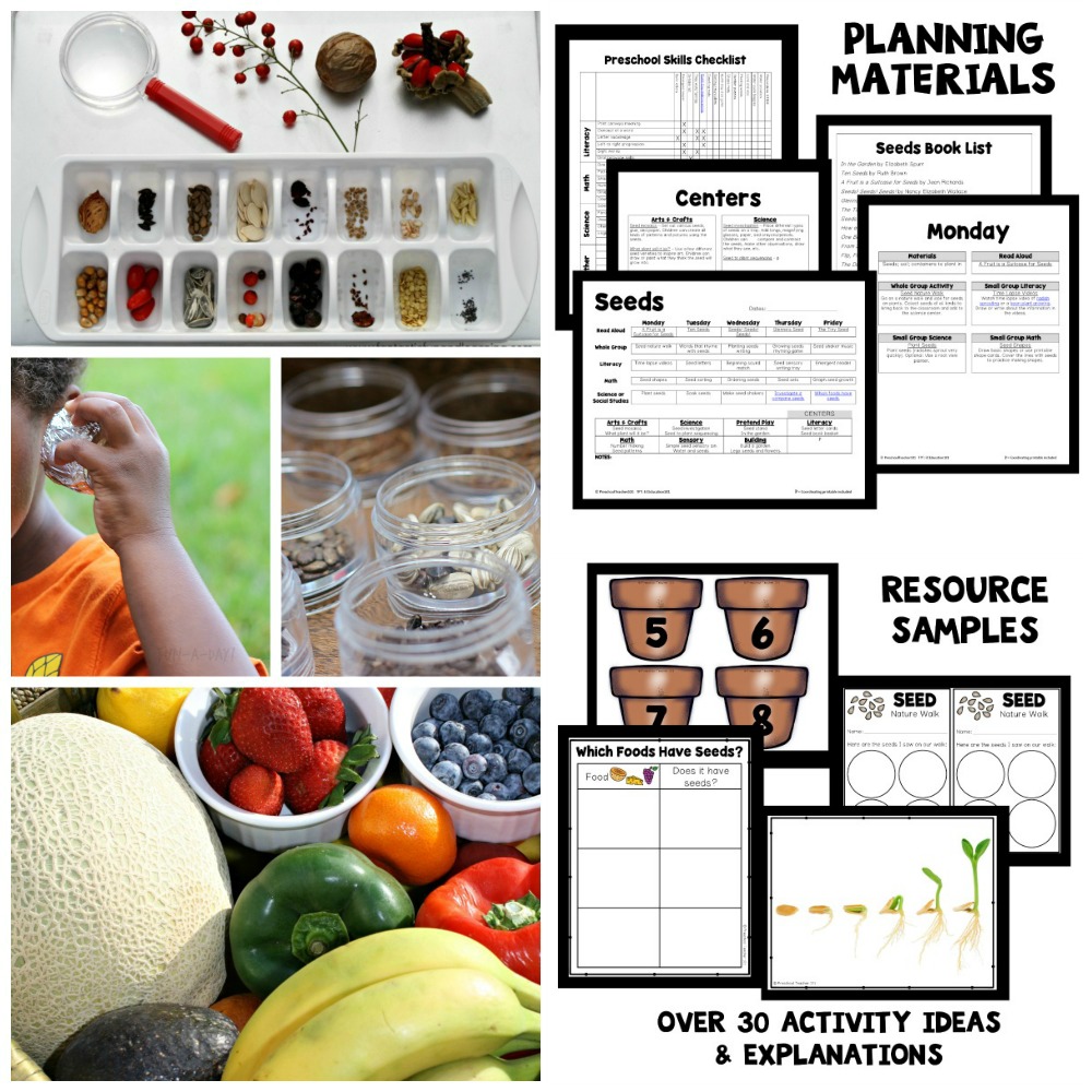 Seed Theme Preschool Classroom Lesson Plans - Image 2