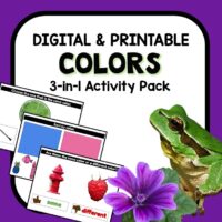 Color Recognition Digital Google Slides Activities for Preschool and Kindergarten