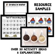 Resource Samples-Little Red Hen Theme Activities
