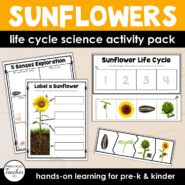 Cover-Life Cycles-Sunflowers