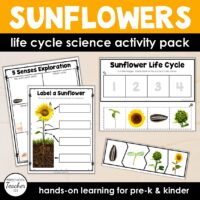 Cover-Life Cycles-Sunflowers