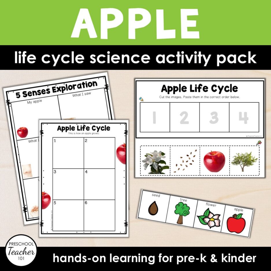 Cover-Life Cycles-Apple Cover-Life Cycles-Apple
