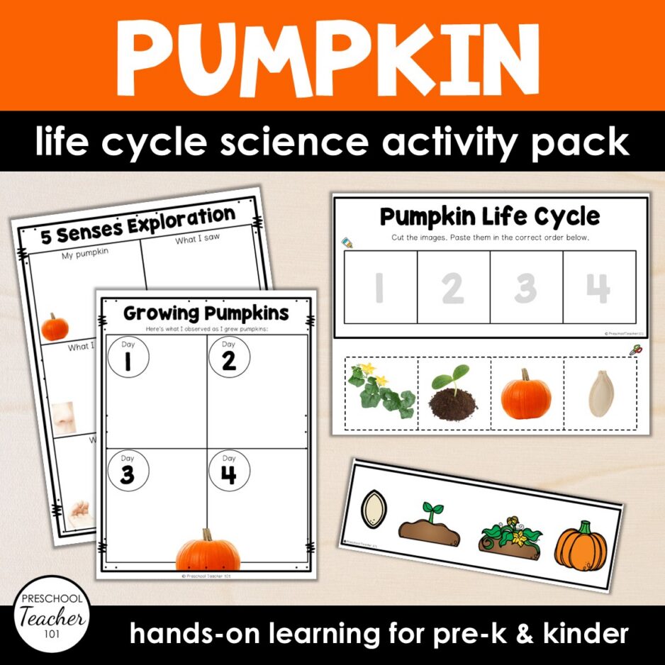 Cover-Life Cycles-Pumpkin (1) Cover-Life Cycles-Pumpkin (1)