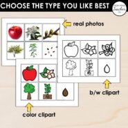 Thumb-Life Cycles-Apple (3)