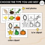 Thumb-Life Cycles-Pumpkin (3)