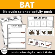 Cover Life Cycles-Bat