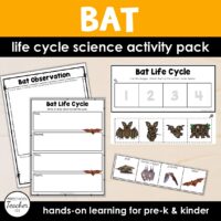 Bat Life Cycle Activity Pack