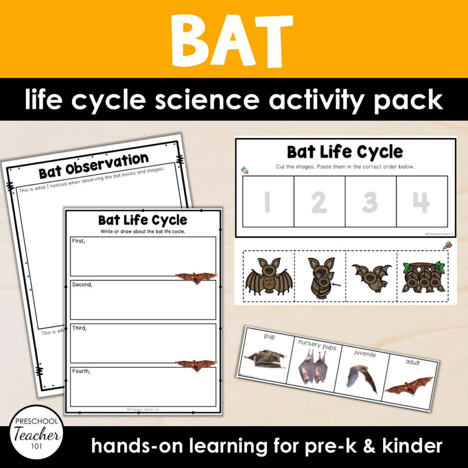 Cover Life Cycles-Bat Cover Life Cycles-Bat