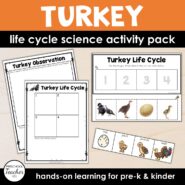 Cover-Turkey Life Cycle