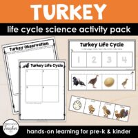 Turkey Life Cycle Activity Pack