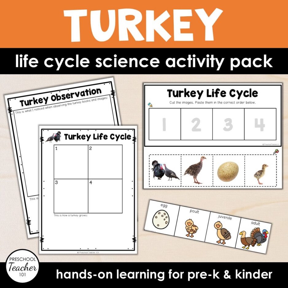 Cover-Turkey Life Cycle Cover-Turkey Life Cycle