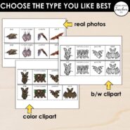 Thumb-Bat Life Cycle (3)