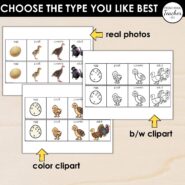 Thumb-Turkey Life Cycle (3)